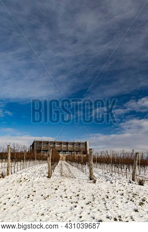 Winter landscape near Popice, Southern Moravia, Czech Republic