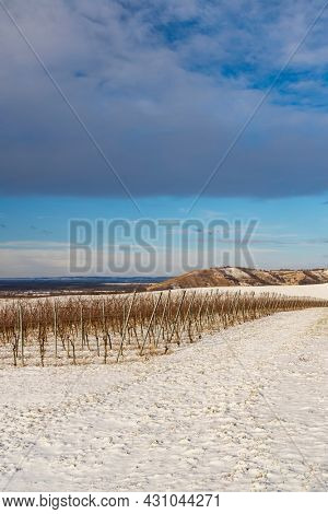 Winter landscape near Popice, Southern Moravia, Czech Republic
