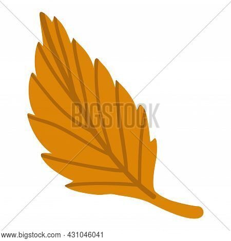 Isolated Vector Element. Autumn Leaf. The Print Is Used For Packaging Design, Fabric. Autumn. Fall