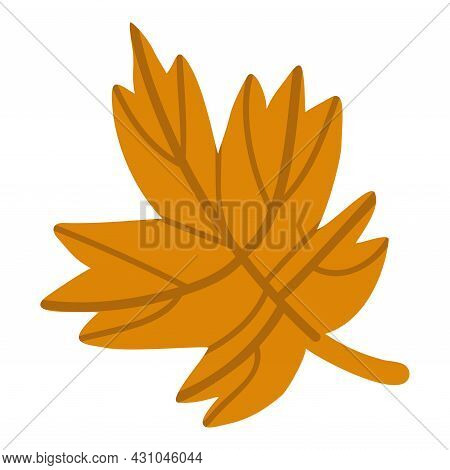 Isolated Vector Element. Autumn Leaf. The Print Is Used For Packaging Design, Fabric. Autumn. Fall