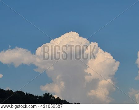 Trees And Skies Of The Virginia Wetlands