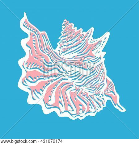 Seashell Hand Drawn Doodle Freehand Sketch On Blue Background. Amazing Inhabitant Of The Seabed, Coc