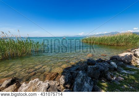Beautiful Coastline Of The Lake Garda (lago Di Garda) With Green Reeds Near The Small Village Of Laz