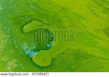 Blue-green Abstract Background Close-up. Water Pollution By Blooming Algae Cyanobacteria Is Environm
