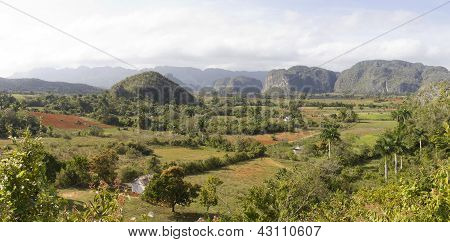 Vista panorámica de un paisaje tropical