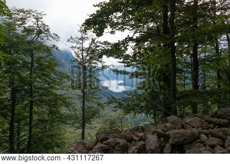 Beautiful View Of Lake From A Forest In Mountains. Bohinj, Slovenia