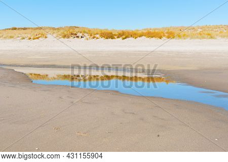 Low Tide Pools With Golden Reflections Of Sand Dune Vegetation On Sandy Beach At Papamoa Tauranga Ne