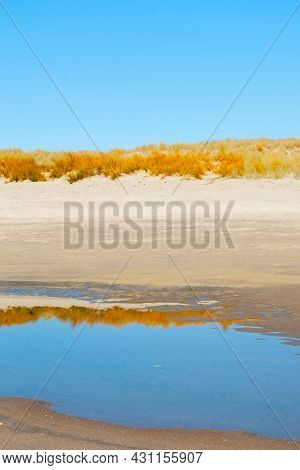 Low Tide Pools With Golden Reflections Of Sand Dune Vegetation On Sandy Beach At Papamoa Tauranga Ne