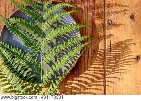 Green Fern Leaf With Hard Deep Shadows On A Wooden Background. Clay Plate With Fern Shadows.