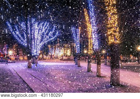 Winter Park At Night With Christmas Decorations, Lights, Pavement And Trees.