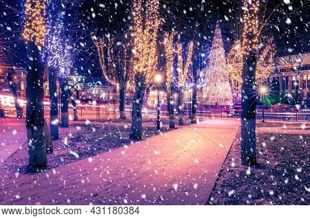 Winter Park At Night With Christmas Decorations, Lights, Pavement And Trees.