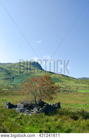 Snowdonia Wales. Dramatic Landscape With Ruined Miners Cottage In The Foreground. Steep Mountains An