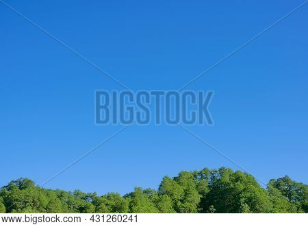 Clear Blue Sky And Pine Trees On Peak Of Mountain On Horizon For Nature Theme Background. An Image W