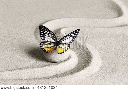 Japanese Zen Garden Meditation Stone, Butterfly, Concentration And Relaxation Sand For Harmony And B