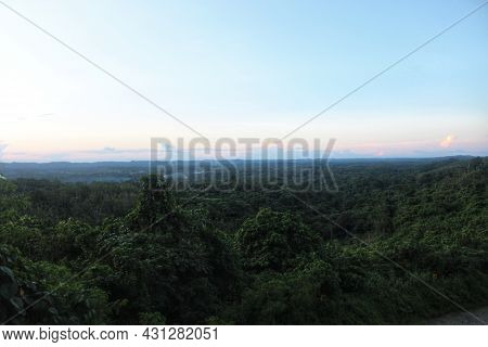 Defocused Nature Abstract Background, Daylight In Nature