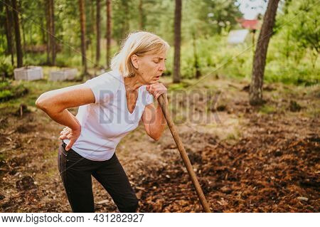 Senior Gardener Woman Falls Hurts Back Pain Radiculitis Digging At Summer Farm Countryside Outdoors 