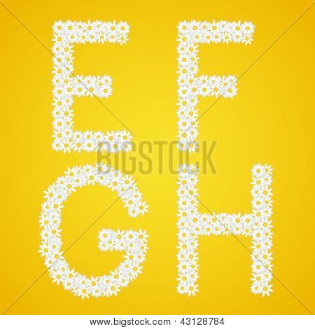 Cartas Efgh composta margarida flores. Alfabeto completo na Galeria.
