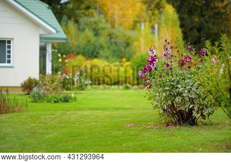 Beautiful Green Garden Full Ot Trees, Decorative Plants And Blossoming Flowers With Big White House