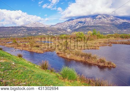 Beautiful Wetland Landscape. Montenegro. View Of Tivat Salina On Sunny Spring Day
