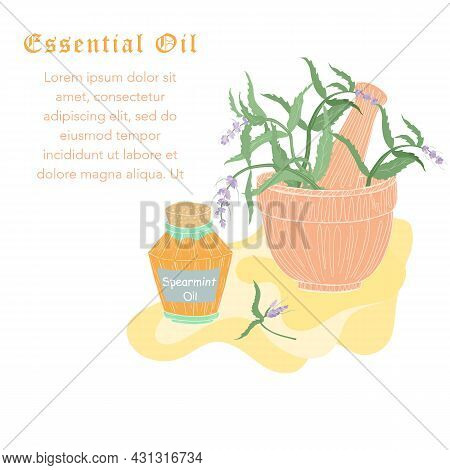 Hand Drawn Spearmint Or Mentha Spicata Isolated. Contour Spearmint Without Color Fill. Ideal For Mag