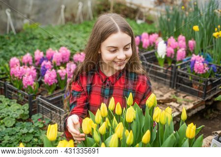 Tulips. Spring And Summer. Planting Pot Plants. Child Gardener. Flowers In Garden.
