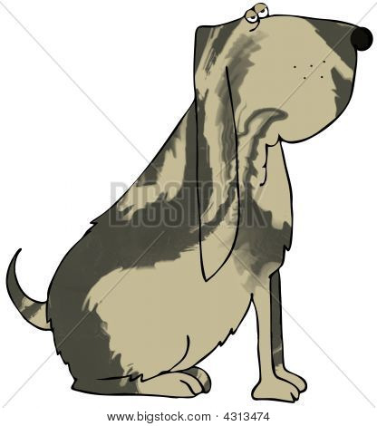 Bloodhound