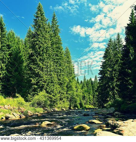 Beautiful River With Stones And Trees In The Mountains With Forest. Nature - Landscape. Background W
