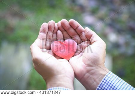 Hand Holding Red Heart. Heart Health Insurance, Organ Donation, Volunteer And Charity Concept.
