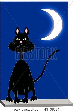 il gatto