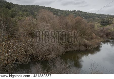Views Of The Manzanares River Along Its Course Through The Municipality Of Colmenar Viejo, In The Pr