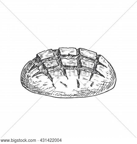 Vector Bakery Sketch. Hand Drawn Illustration Of A Loaf Of Sourdough Bread. Isolated