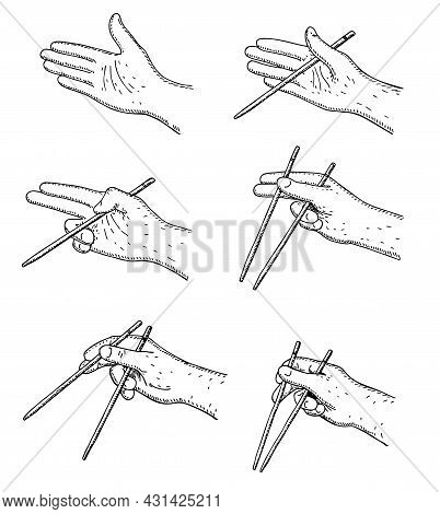 How To Use Chinese Or Japanese Chopsticks Instruction. Eating Asian Food With Special Tool Guide. In