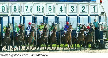 Pyatigorsk,russia - August 29,2021:start Gates For Horse Races For The Prize Of Breeders Of Russia I