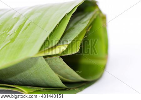 Closeup Image Of Kerala Banana Leaf Or Vazhayila In White Background. Normally Using In Kerala Eat M