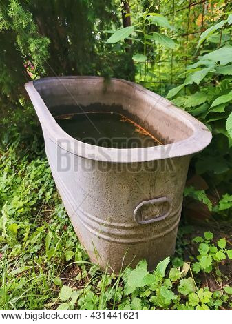 An Iron Trough With Water Stands On The Grass On A Sunny Summer Day