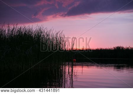 Late Evening Sunset Near River Lielupe, With Pink Colors And Cloudy. Photo Taken On A Warm Summer Da