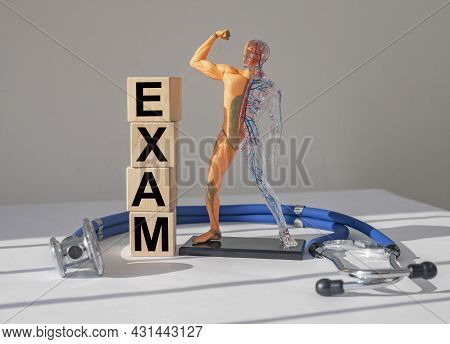 Medical Exam Word On Cubes. Inner Organs Diagnostics.
