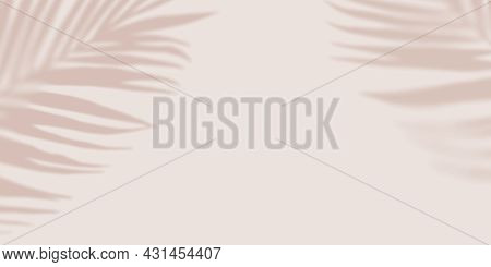 Pastel Shadow Tropical Palm Leaves On Light Pastel Background. Creative Copyspace. Unobtrusive Backg