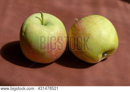 Minimalist Composition With Apples On A Brown Background. Ripe Ready-to-eat Fruit In Bright Sunlight