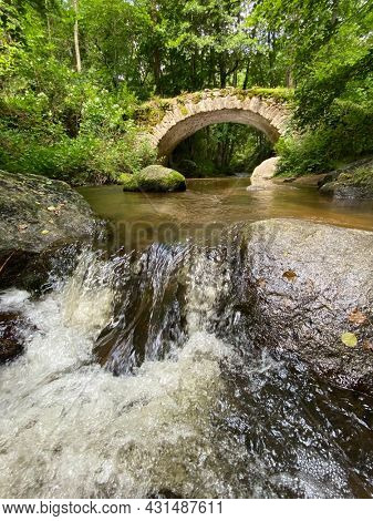 Old bridge of the Ribeyrolles in Gorges of the monne river in the green forest, Puy-de-DÃ´me, Auvergne