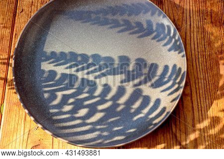 Green Fern Leaf With Hard Deep Shadows On A Wooden Background. Clay Plate With Fern Shadows.
