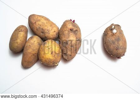 There Are Potatoes On A White Table.next To Rotten Potatoes Separately.