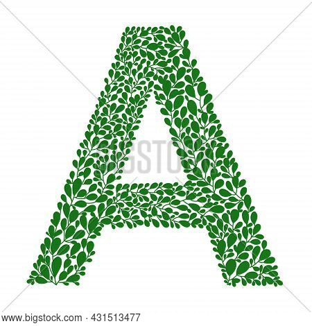 Capital Letter A Alphabet Isolated On White Background. Botanical Ornament. Green Color