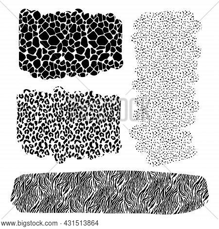 Set Safari Jungle Animal Fur Stripe Animals Bengal Tiger Giraffe Zebra Texture Pattern Seamless Repe