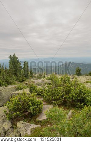 Large Kurum Stones Lie In The Forest In The Mountains, Stones Covered With Moss, Against The Backgro