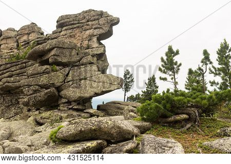 Large Kurum Stones Lie In The Forest In The Mountains, Stones Covered With Moss, Against The Backgro