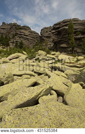 Large Kurum Stones Lie In The Forest In The Mountains, Stones Covered With Moss, Against The Backgro