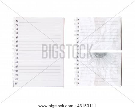 Notebook.
