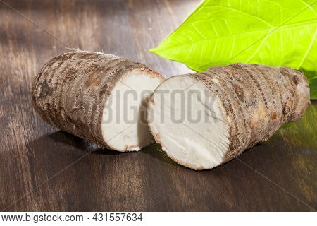 Malanga Edible Tuber - Root Of The Plant Called Colocasia Esculenta