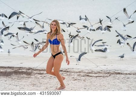 A beautiful blonde bikini model enjoys the weather outdoors on the beach while chasing seagulls